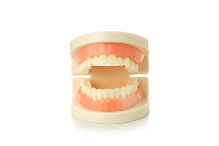 gigi tiruan lepasan atau gigi palsu